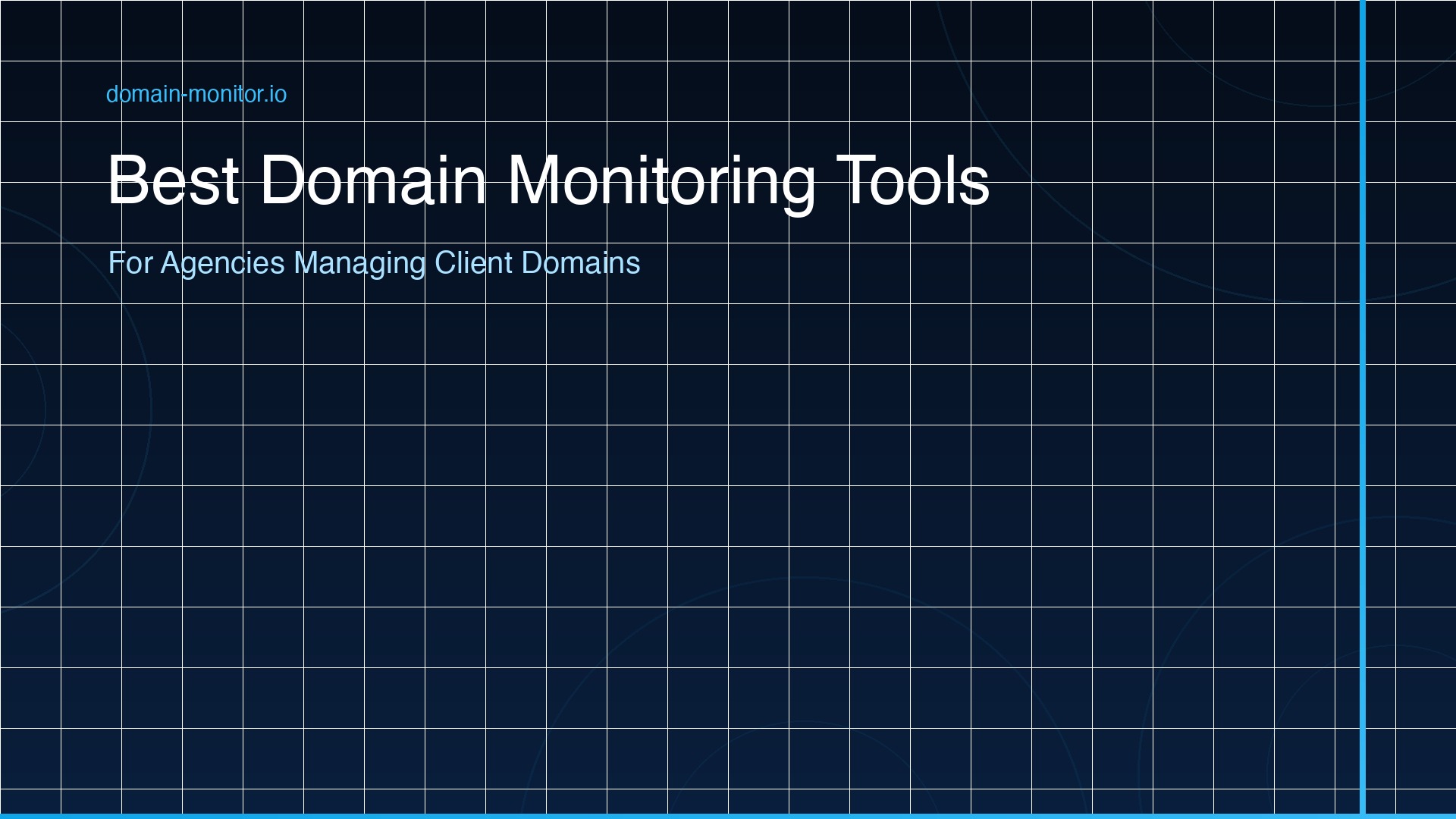 Agency domain monitoring dashboard showing multiple client domains with expiry dates SSL status DNS records and alert configuration panel