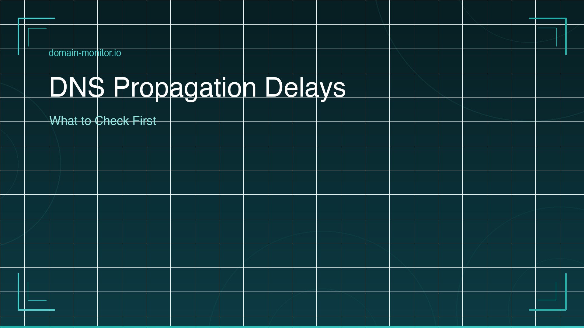 DNS propagation checker showing mixed results across global locations with some resolvers showing old IP and others showing new IP
