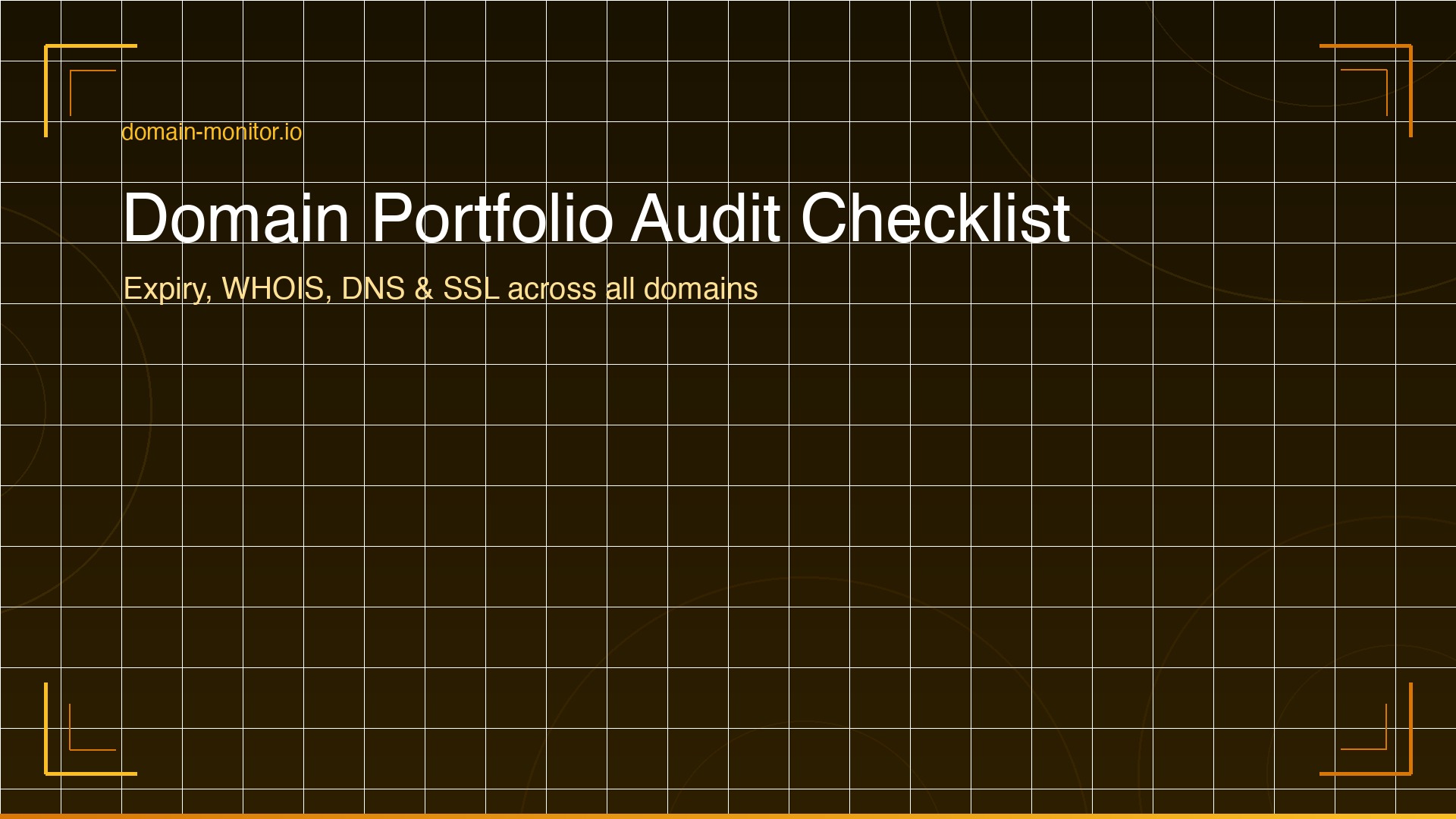 Domain portfolio audit checklist showing multi-domain expiry review WHOIS verification DNS record audit and SSL certificate check across portfolio