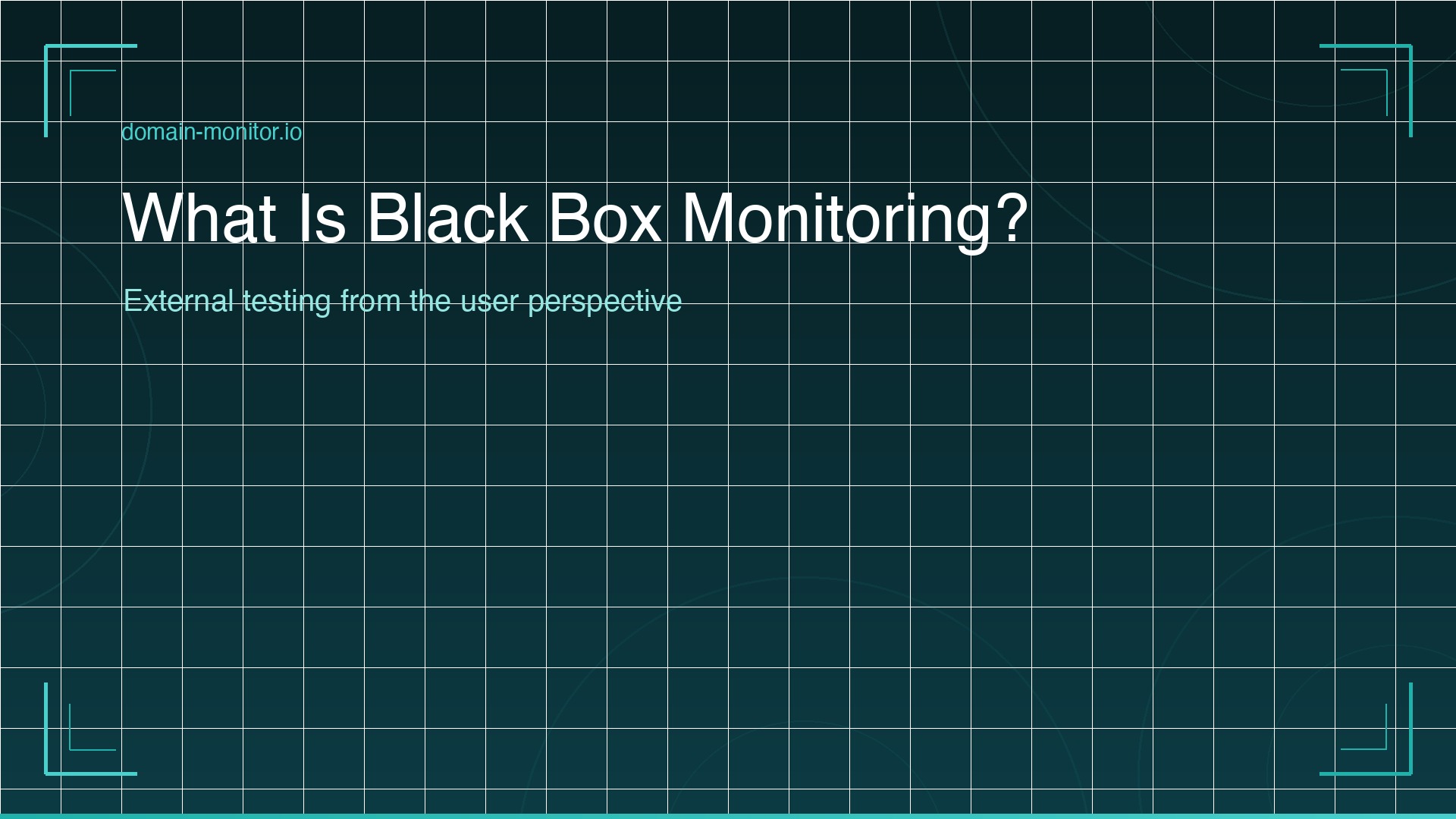 Black box monitoring diagram showing external uptime checks testing website from user perspective versus white box internal monitoring